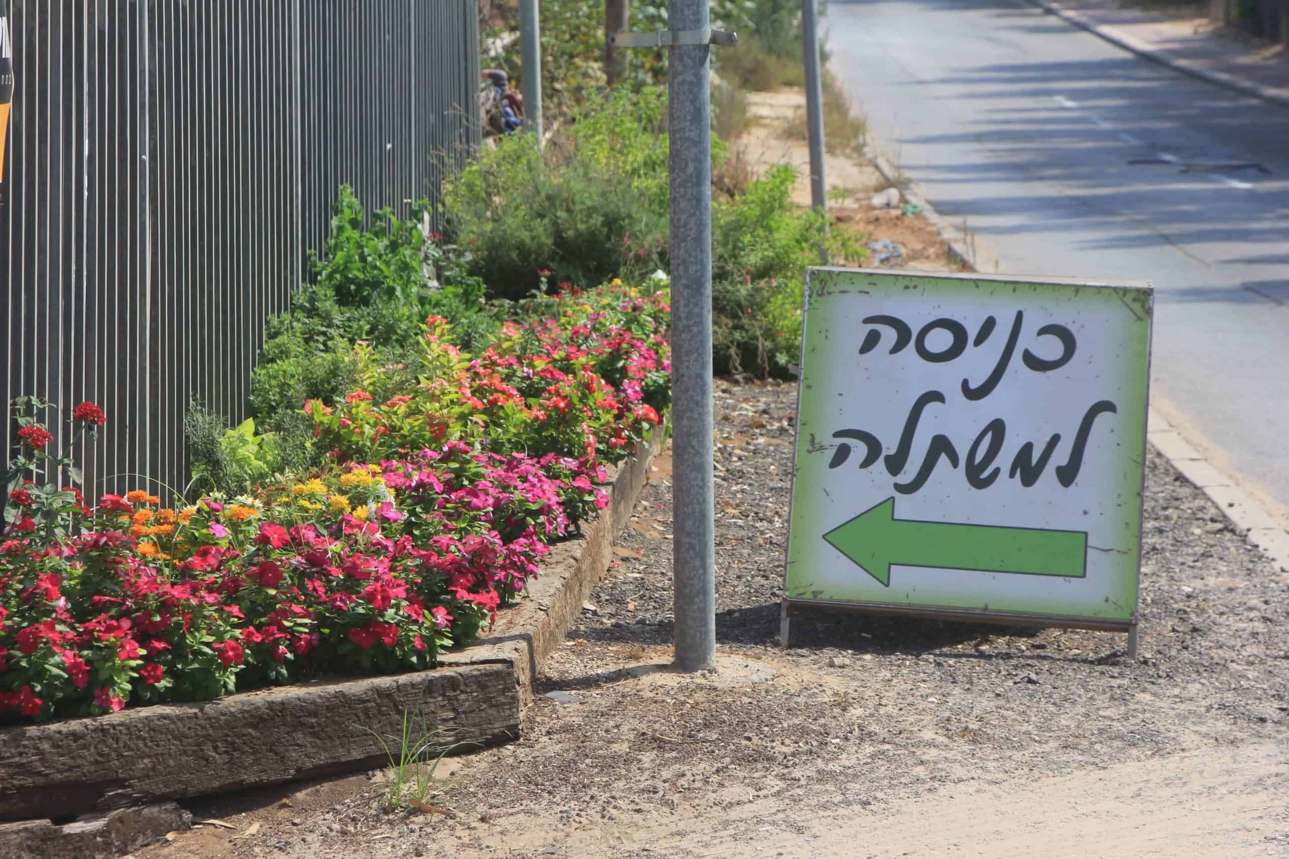 משלוח צמחים ועציצים חינם מעל 250₪ - משתלת הגן הקסום של נקודת חן