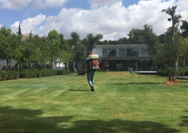 הקמה עיצוב ואחזקת גינות