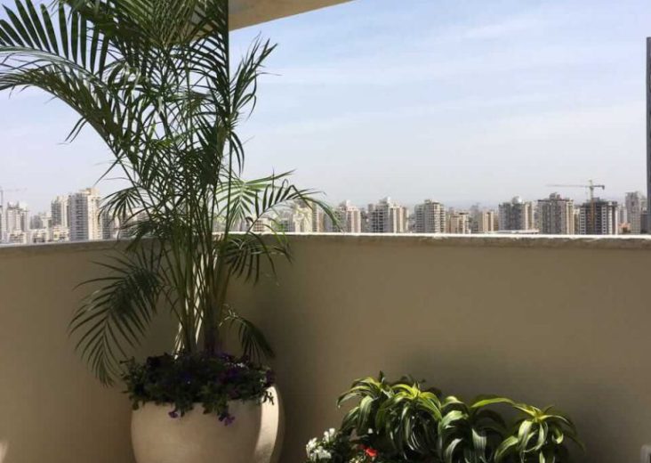 הקמה עיצוב ואחזקת גינות