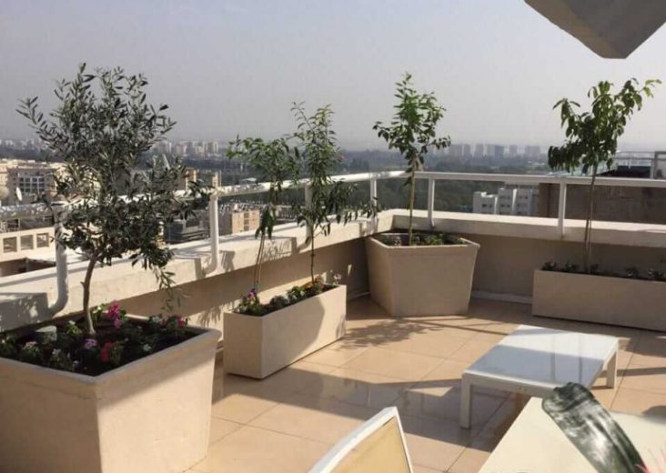 הקמה עיצוב ואחזקת גינות