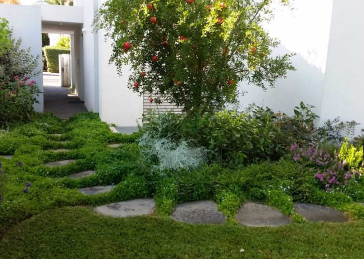 הקמה עיצוב ואחזקת גינות